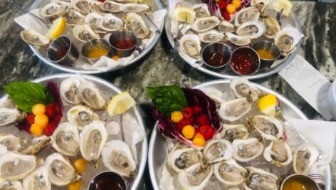 a spread of oysters