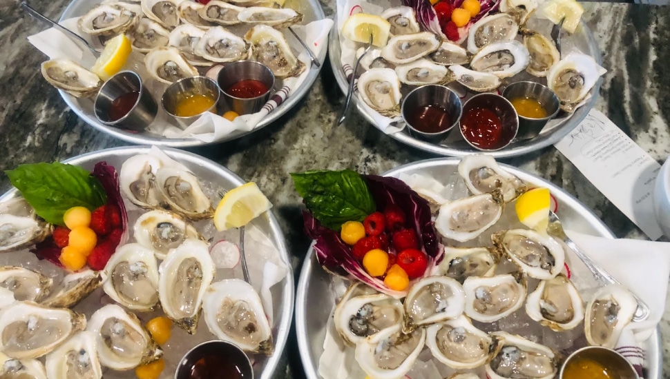 a spread of oysters