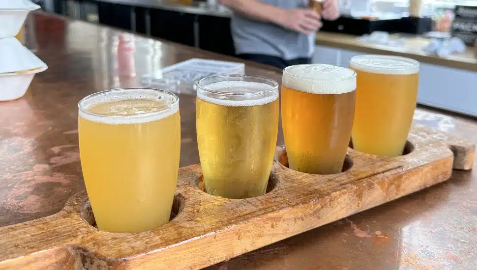 Neshaminy Creek Brewing flight of beers