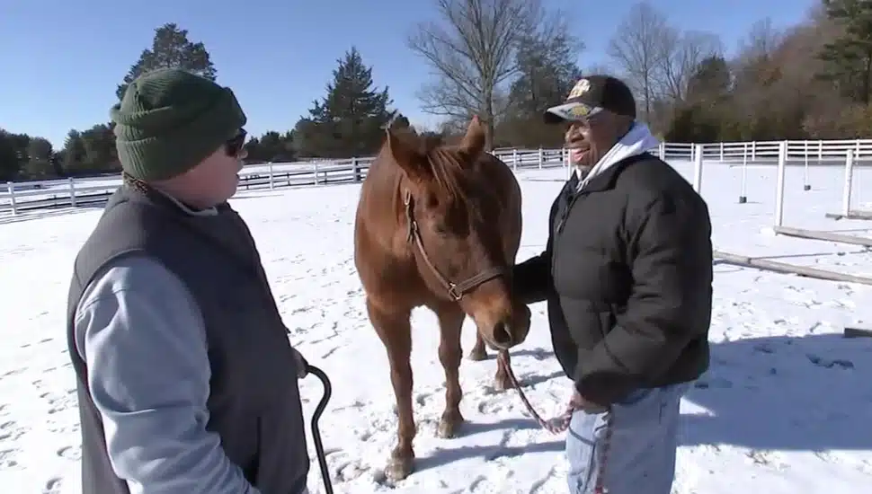 How Shamrock Reins Uses Equestrian Therapy to Aid Veterans in Pipersville