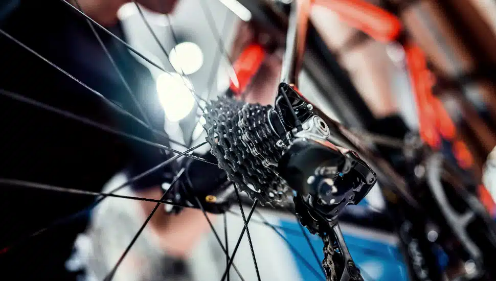 Technical expertise taking care Bicycle Shop