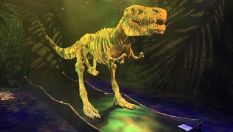A sample dino from "The Art of the Brick" exhibit.