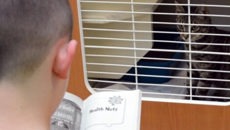 kid reading book to cat