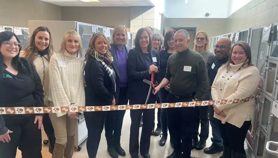 Cat adoption ribbon cutting
