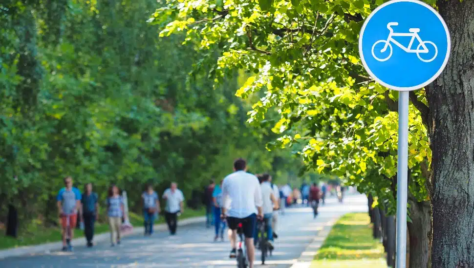 Bike lane, bike path sign in summer green park. Cyclists on bicycles and pedestrians. Concept of rest and relaxation, exercise, healthy lifestyle