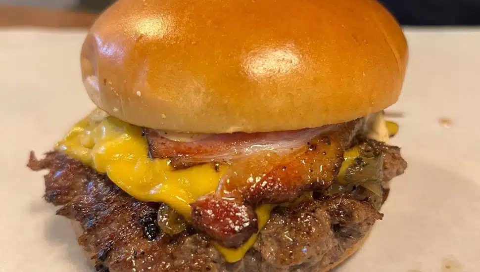 Cheese Burger from The Burgerly