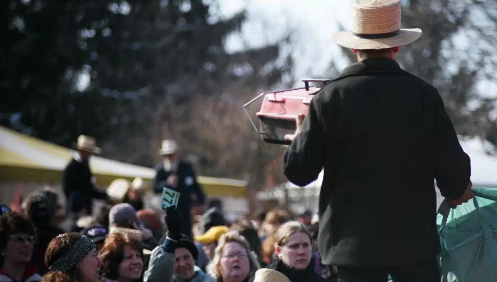 Bid on Treasures at Lancaster County’s One-of-a-Kind Mud Sales