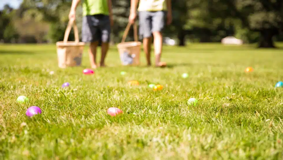 two people carrying baskets on lawn with green plastic eggs