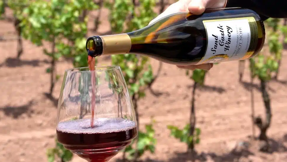 wine from sandcastle Winery pouring into glass at vineyard