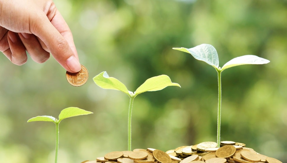 Hand giving a coin to trees growing on golden coins with natural green background / Sustainability of Business with csr practice