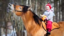 Little girl riding a work horse.