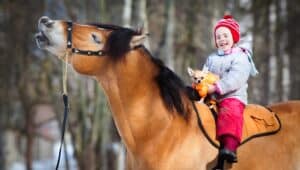 Little girl riding a work horse.