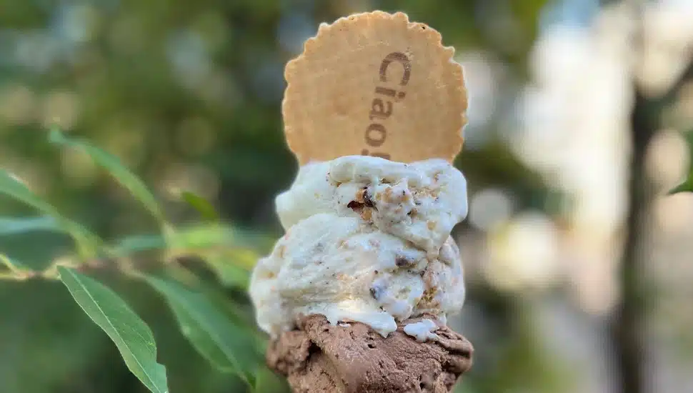 Gelato in cone with cookie