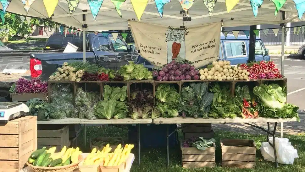 Love Grows CSA