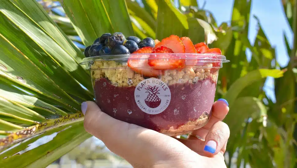 person holding Playa Bowl in front of giant plant