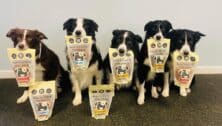 Five dogs holding Saint Rocco's treats pre-made ingredients bags in mouths