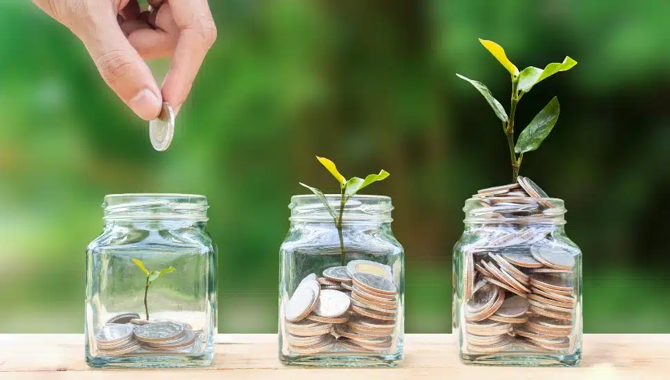 Money savings, investment, making money for future, financial wealth management concept. A man hand holding coin over stacked coins in glass jar and growing tree plant depicts Fund growth and wealth.