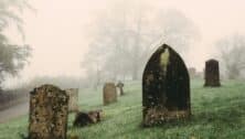 Tombstones in a graveyard, misty early morning