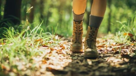 Woman hiker hiking on forest trail