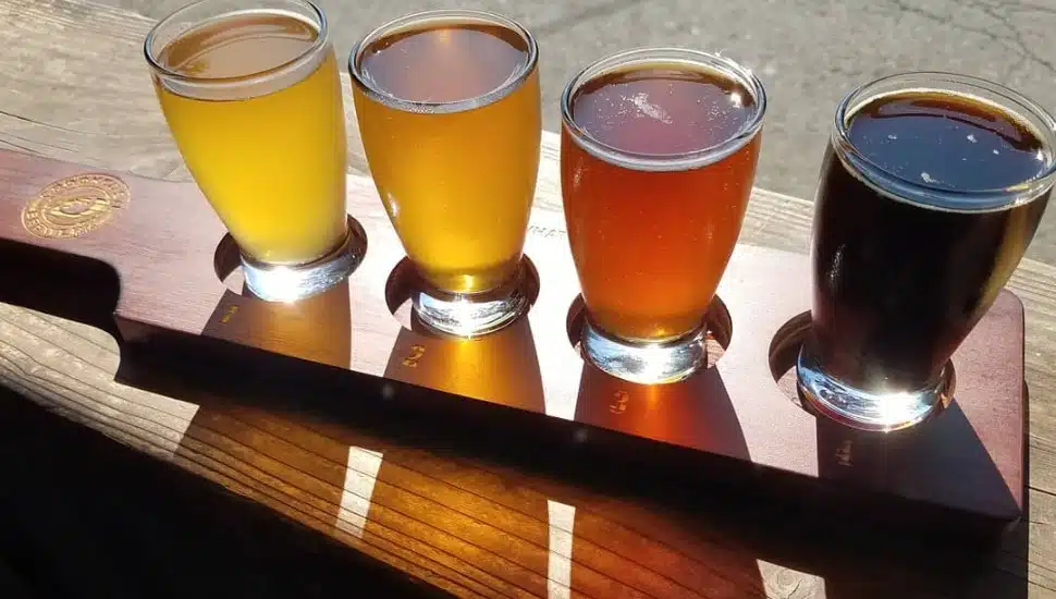 Row of beer samples