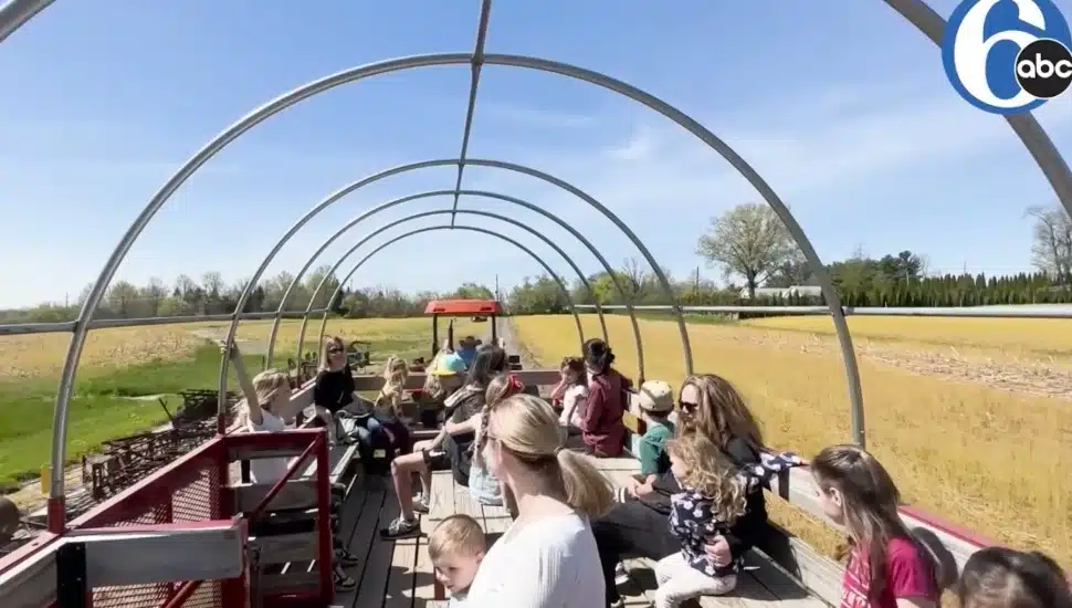 Hellerick’s Family Farm Offers 40 Fun Activities for Kids and Families