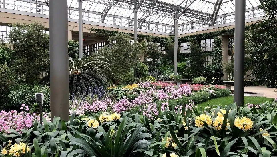 The Definitive Guide to Visiting Longwood Gardens in 2024