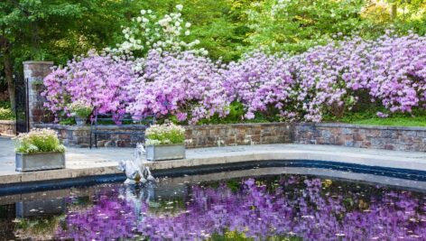 Winterthur Museum's Reflecting Pool