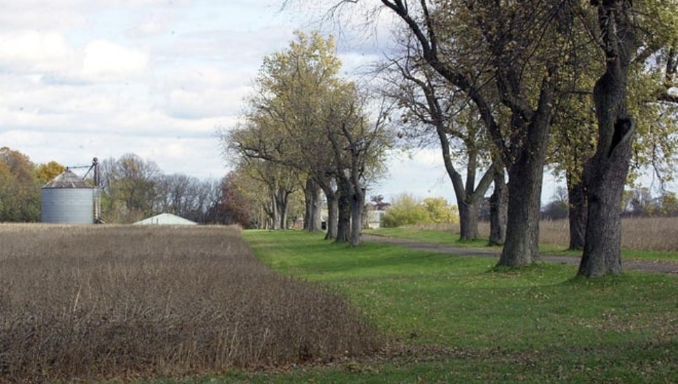 Stone Meadows Farm