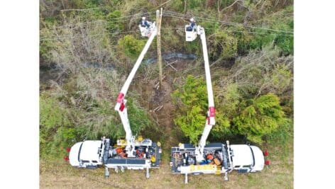 PECO electric workers