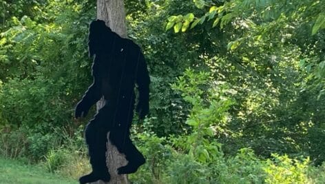 cut out of Bigfoot posted on tree on Mayflower Drive in woods