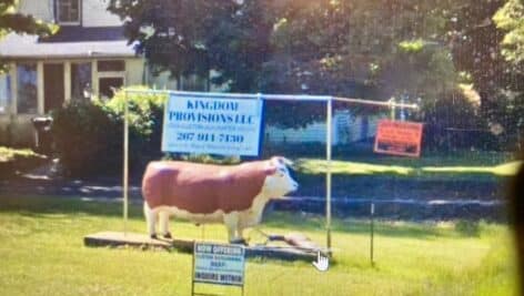 cow sculpture with sign outside of Kingdom Provisions