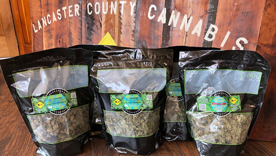 Area Man Is Brains Behind Booming Amish Cannabis Business