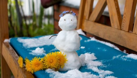 A little snowman constructed during the summer on a deck with summer flowers.