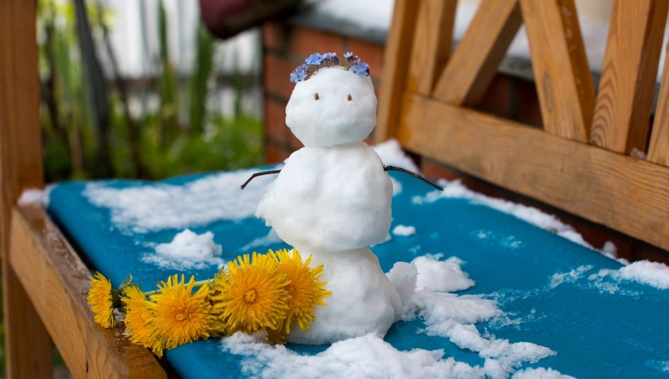 A little snowman constructed during the summer on a deck with summer flowers.