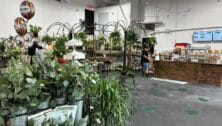 interior of Just One More Plant garden store and soda shop