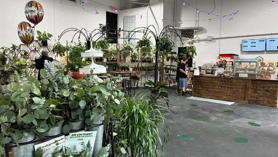 interior of Just One More Plant garden store and soda shop