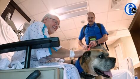 shot from below of patient petting therapy dog and jerry fetter holding dog on leash