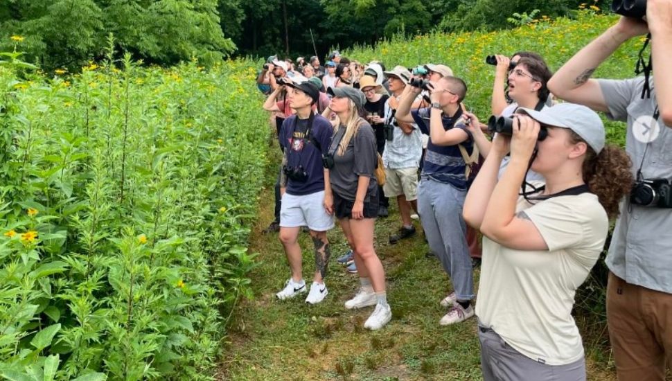 Philly Queer Birders on a bird watching walk, this time at Cobbs Creek.