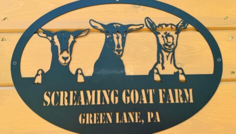 screaming goat farm sign