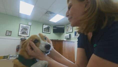 Stahl and dog