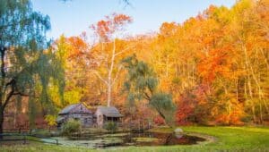 A cabin and pond amidst the autumn leaves along the New Hope Railroad route.