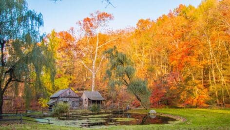 A cabin and pond amidst the autumn leaves along the New Hope Railroad route.