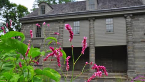 Bartram's Garden.