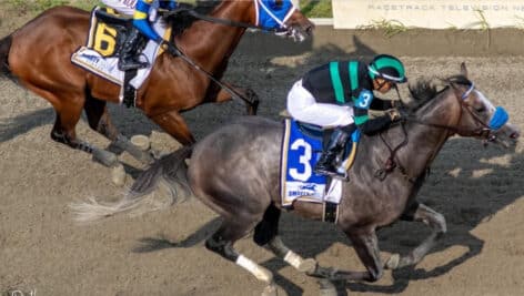 Horses racing at Parx Racing.