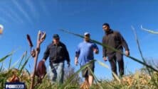 Farmers check out their dried fields in Bucks County,