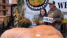 Dave and Carol Stelts with giant pumpkin