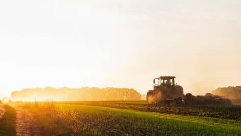 A tractor is tending to the crops on a farm.