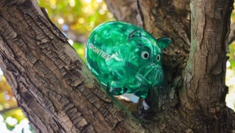 Frontier Airlines piggy bank in tree