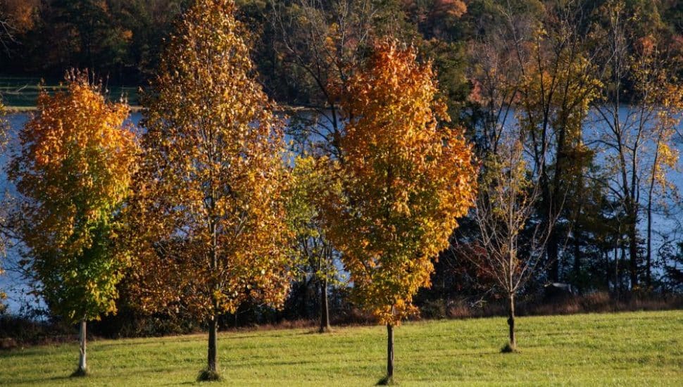 Lower Makefield Voters Say Yes to Open Space Funding