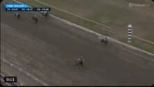 National Law (bottom center) near the end of a Dec. 3 race at Parx Casino.